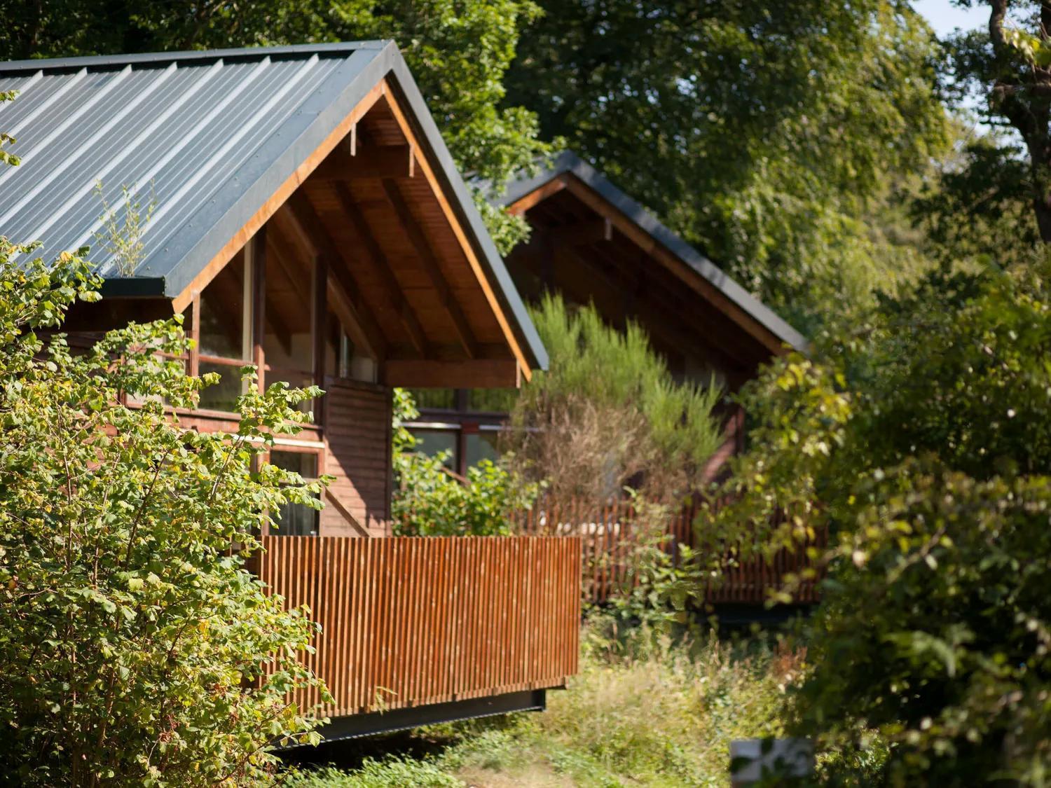 Deerpark Cabins, Cornwall - Forest Holidays Liskeard Exterior foto